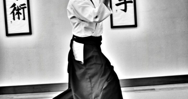 Boulder Ki Aikido Instructor Randy Thompson Sensei image