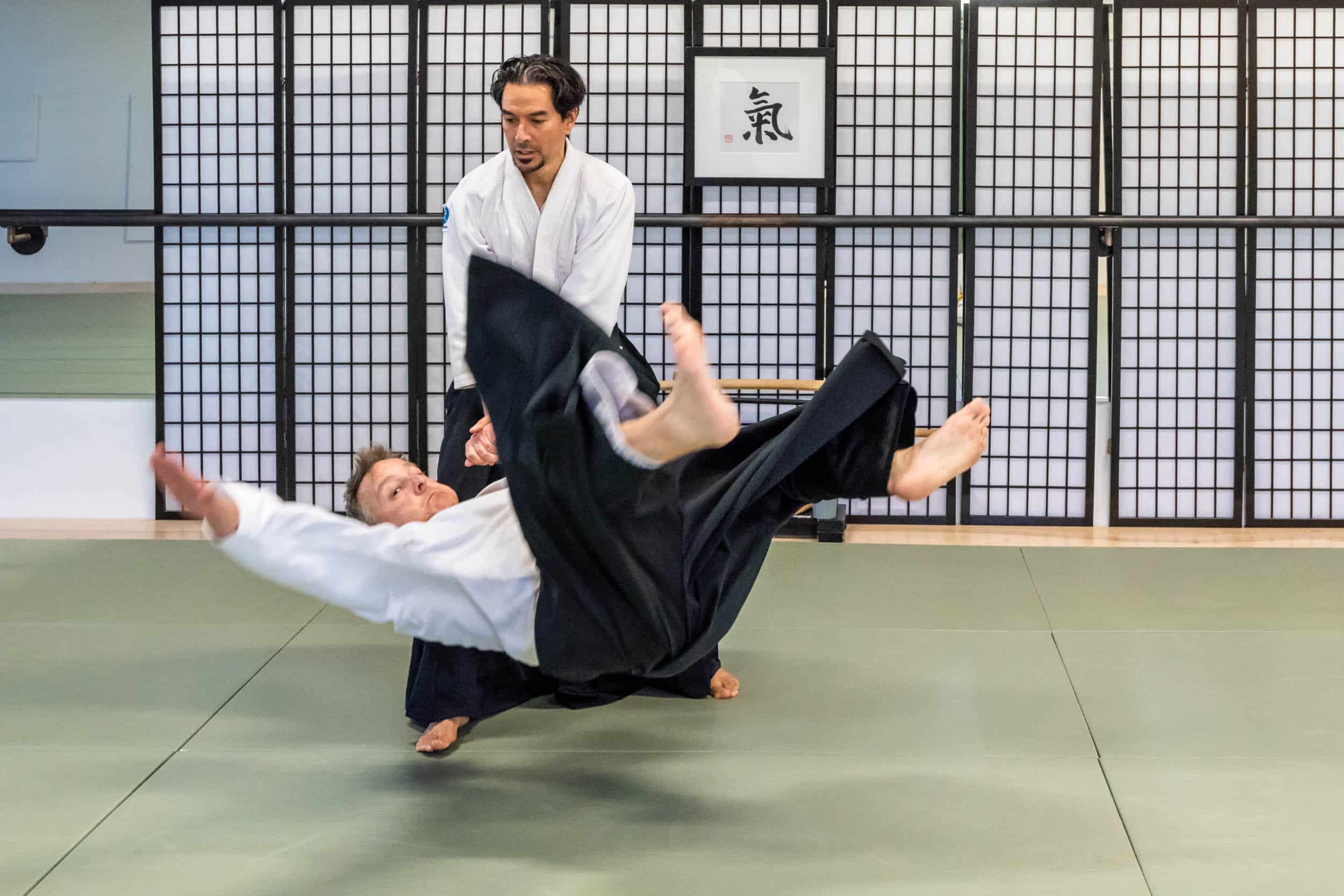 Boulder Aikido Martial Arts Adult Classes Image