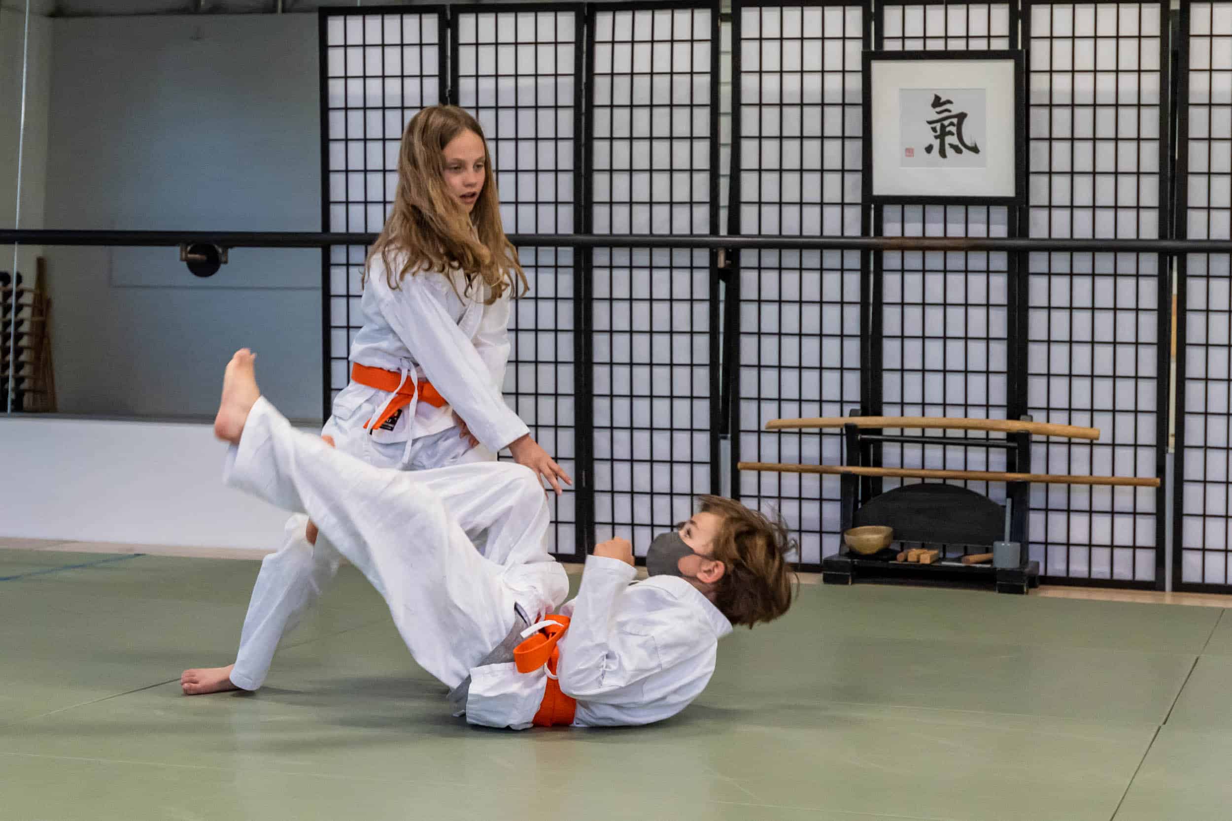 Boulder Aikido Adult Martial Arts Classes image